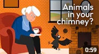 Colt Cowls release three fantastic symptom to solution guides for chimney cowls.