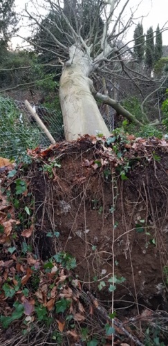 Storm Ciara wreaks havoc with stoves and fireplaces!